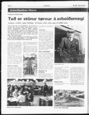 Síða 8