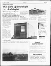 Síða 13