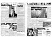 Síða 3