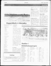 Síða 44