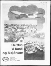 Síða 53