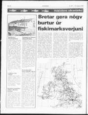 Síða 6