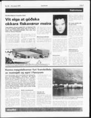 Síða 3