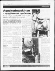 Síða 5