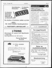Síða 11