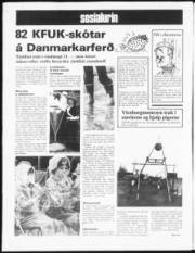 Síða 12