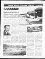 Síða 6