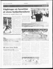 Síða 9