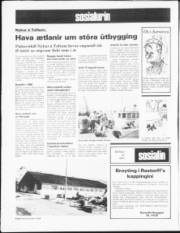 Síða 12
