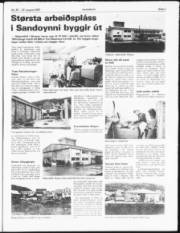 Síða 3