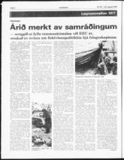 Síða 6