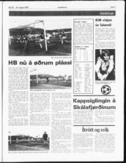 Síða 7