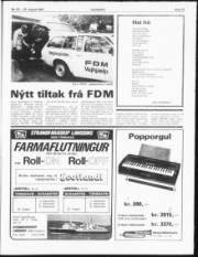 Síða 13