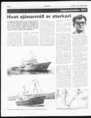 Síða 6