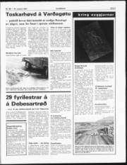 Síða 7