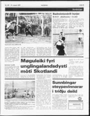 Síða 15