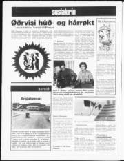 Síða 16