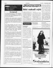 Síða 2