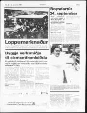 Síða 3