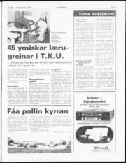 Síða 5