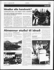 Síða 9