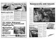 Síða 5