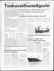 Síða 3