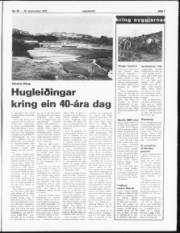 Síða 7