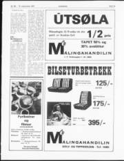 Síða 10