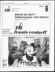 Síða 17