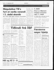 Síða 5