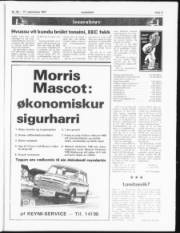Síða 11