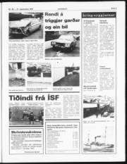 Síða 5
