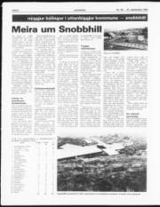 Síða 6