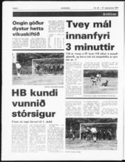 Síða 8