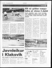 Síða 9