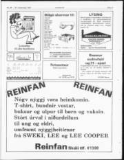 Síða 11
