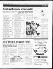 Síða 7