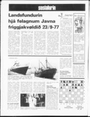 Síða 12
