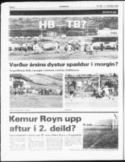 Síða 6
