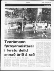 Síða 6