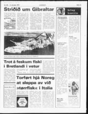 Síða 13