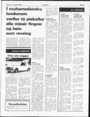 Síða 15