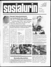 Síða 1