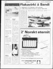 Síða 4