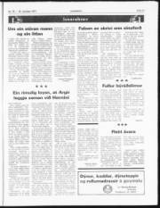 Síða 11