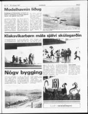 Síða 3