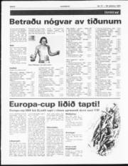 Síða 6