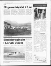Síða 5