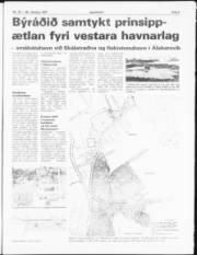 Síða 3